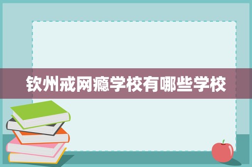 钦州戒网瘾学校及民办教育机构概览