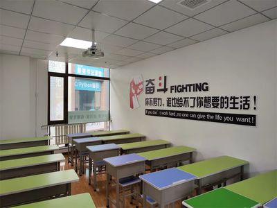 民办教育机构 多元化与规范化的双重挑战